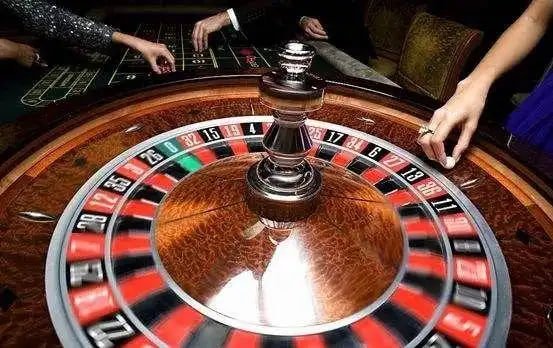 56d bet 56d bet
